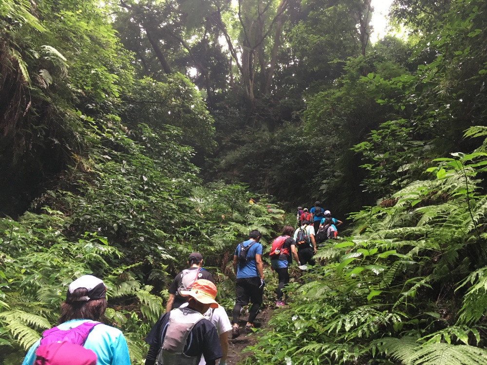 【ガイドブック未掲載！！】隠れ鎌倉トレイルコースを経由してアジサイ見物！！の写真8