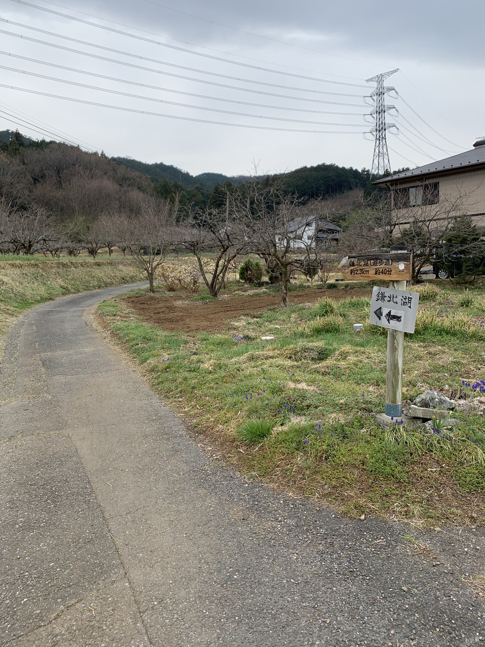 【トレイル】鎌北湖～滝滝滝1wayの写真3