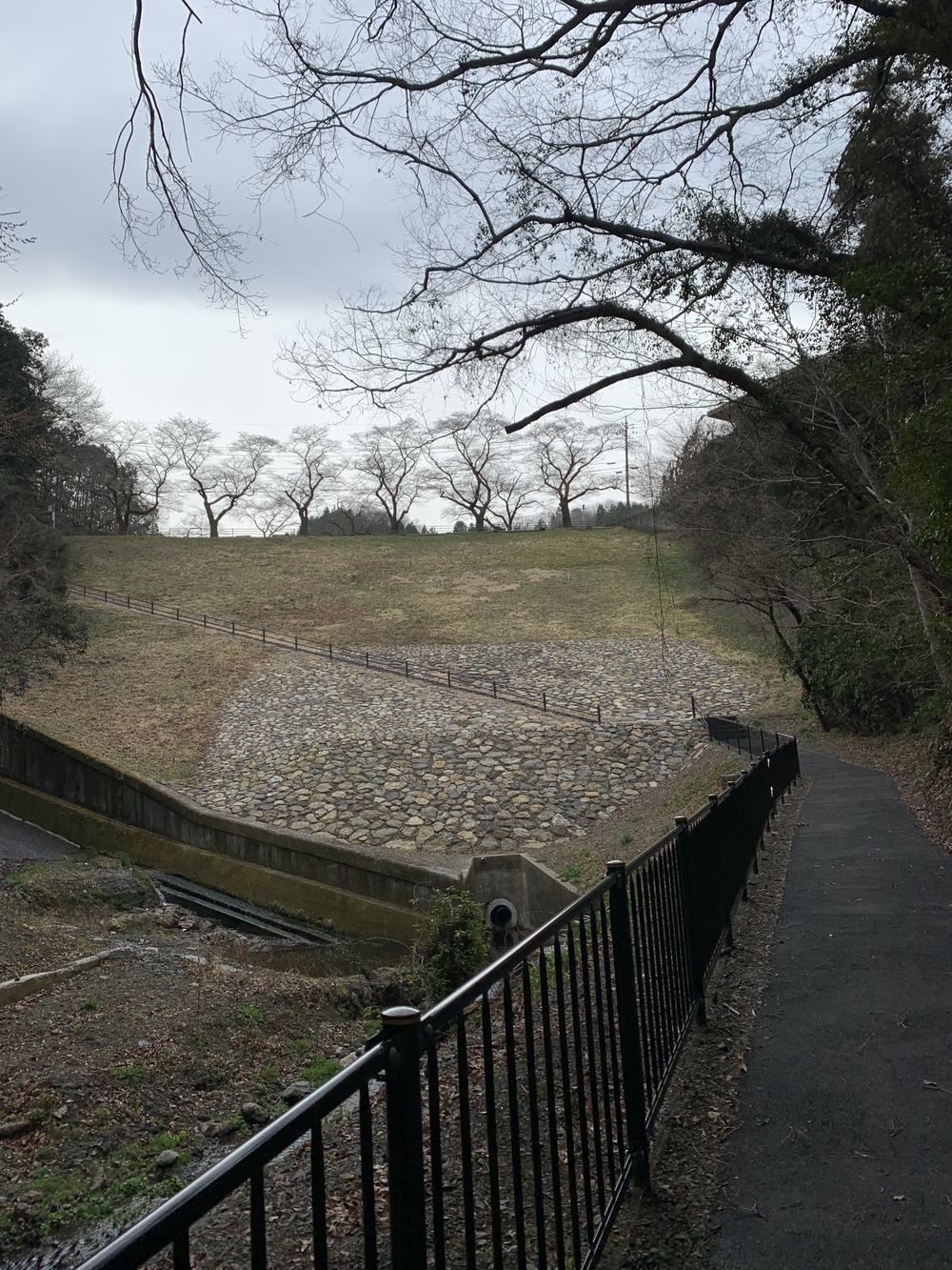 【トレイル】鎌北湖～滝滝滝1wayの写真5