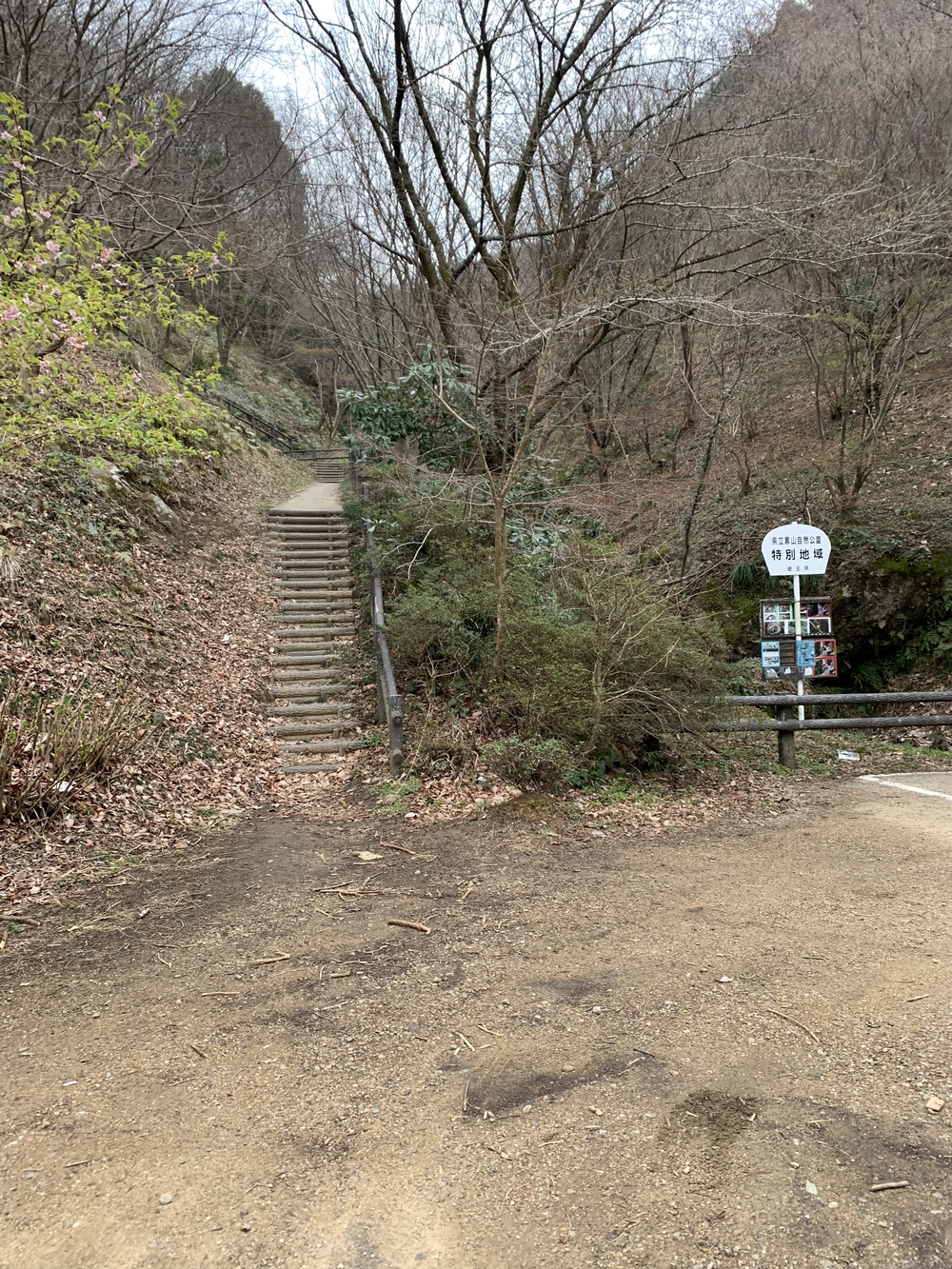 【トレイル】鎌北湖～滝滝滝1wayの写真7