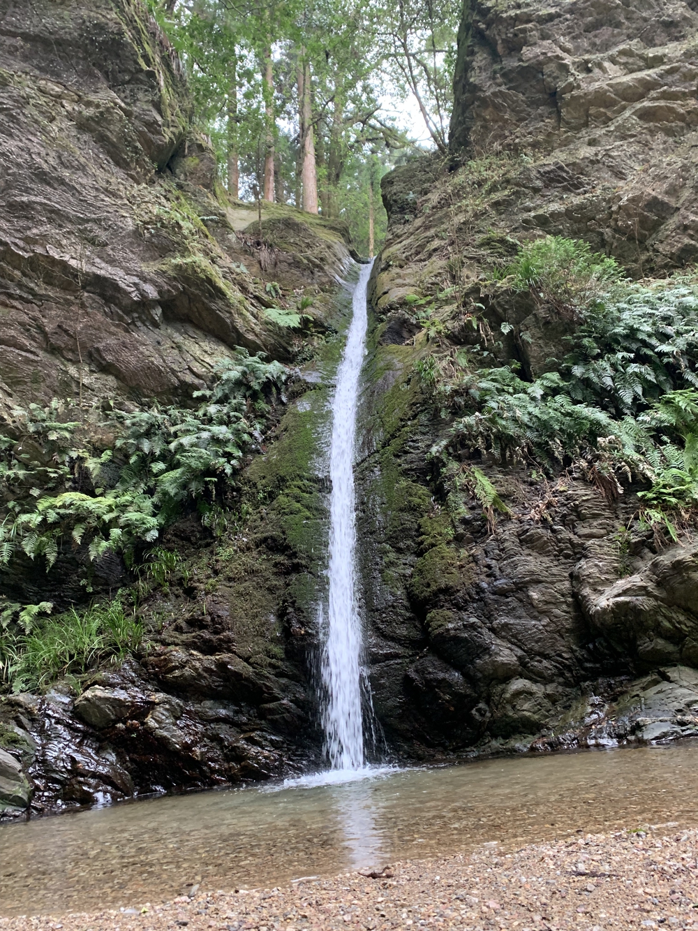 【トレイル】鎌北湖～滝滝滝1wayの写真8