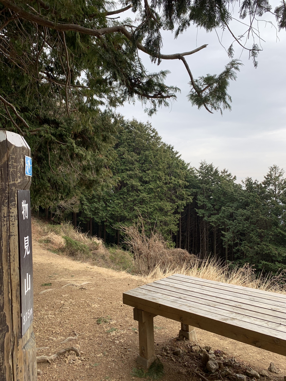 【トレイル】鎌北湖～滝滝滝1wayの写真10