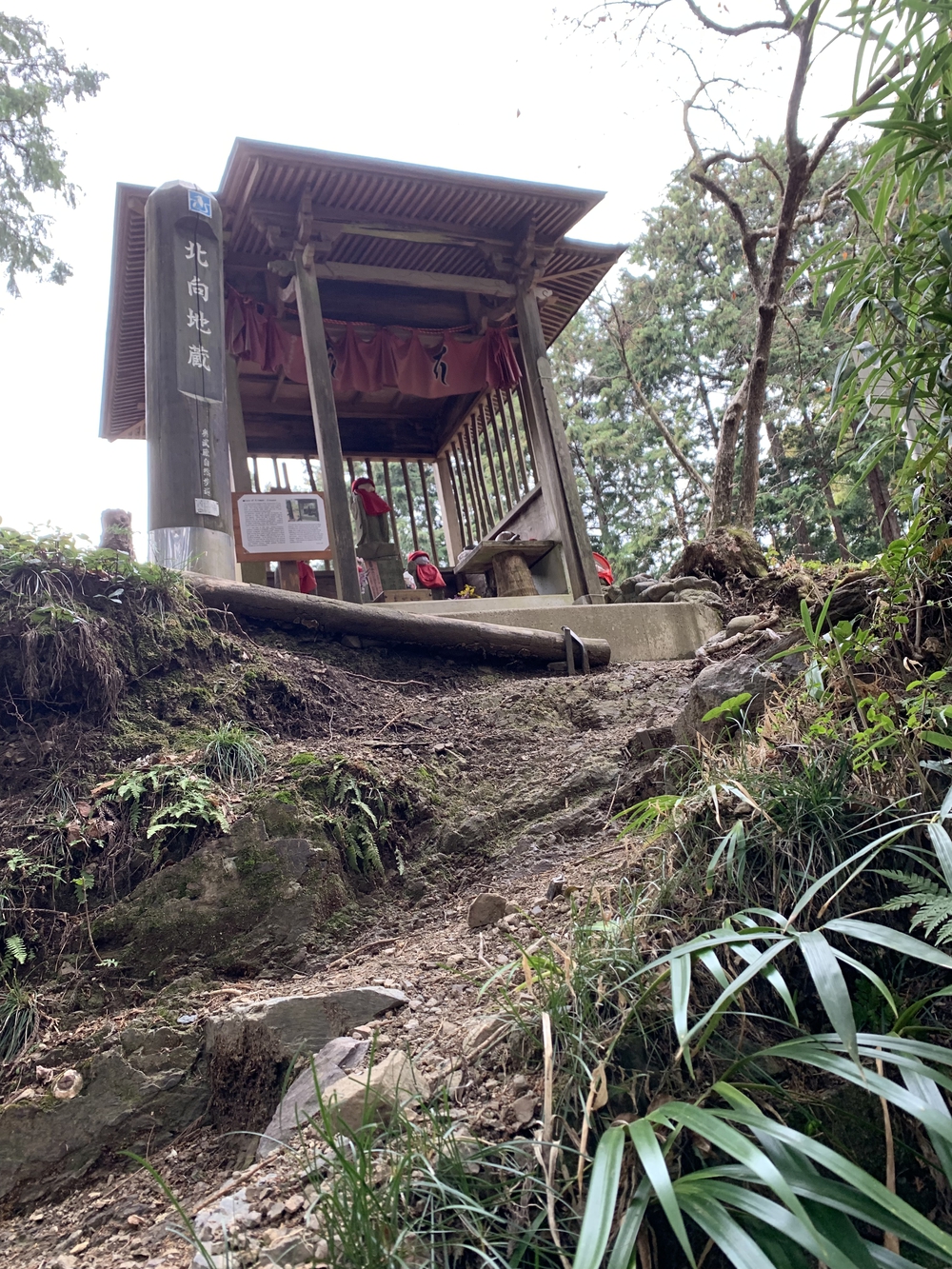 【トレイル】鎌北湖～滝滝滝1wayの写真12