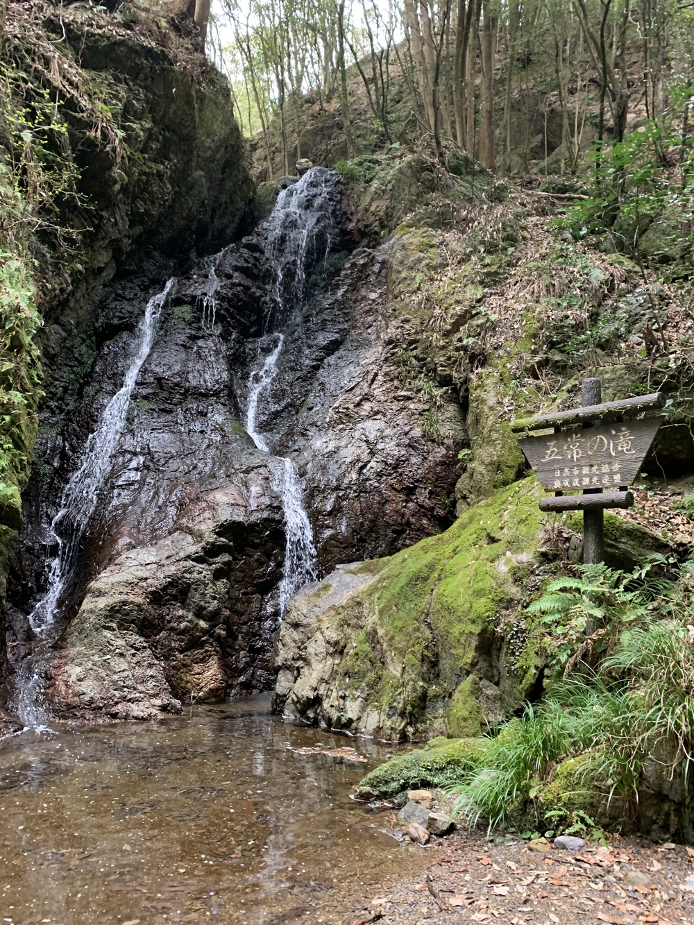 【トレイル】鎌北湖～滝滝滝1wayの写真13