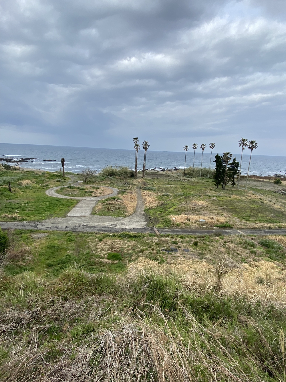 館山の海岸沿いを走るの写真3