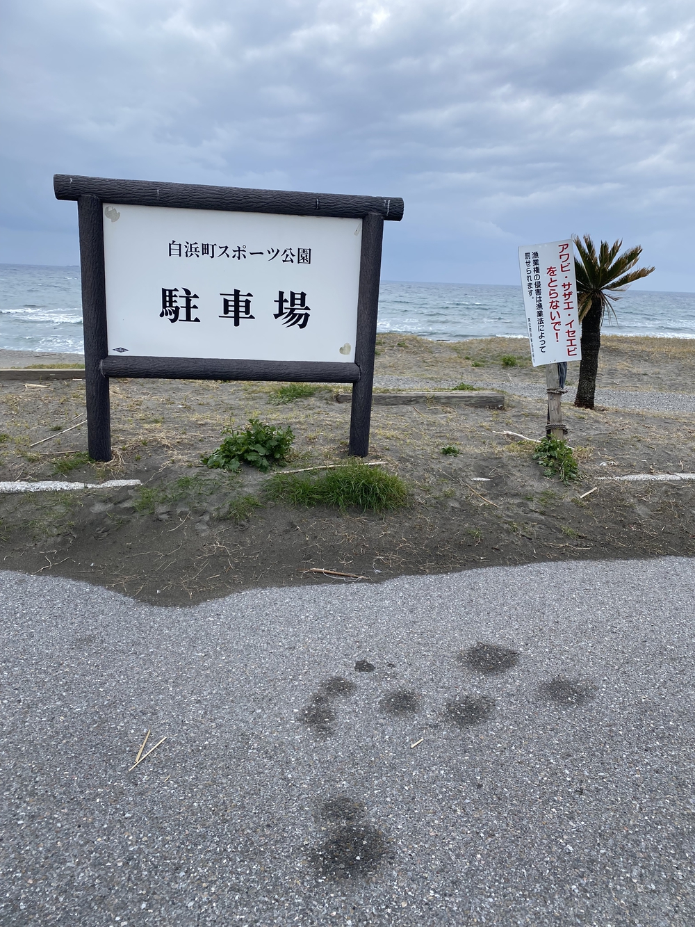 館山の海岸沿いを走るの写真8