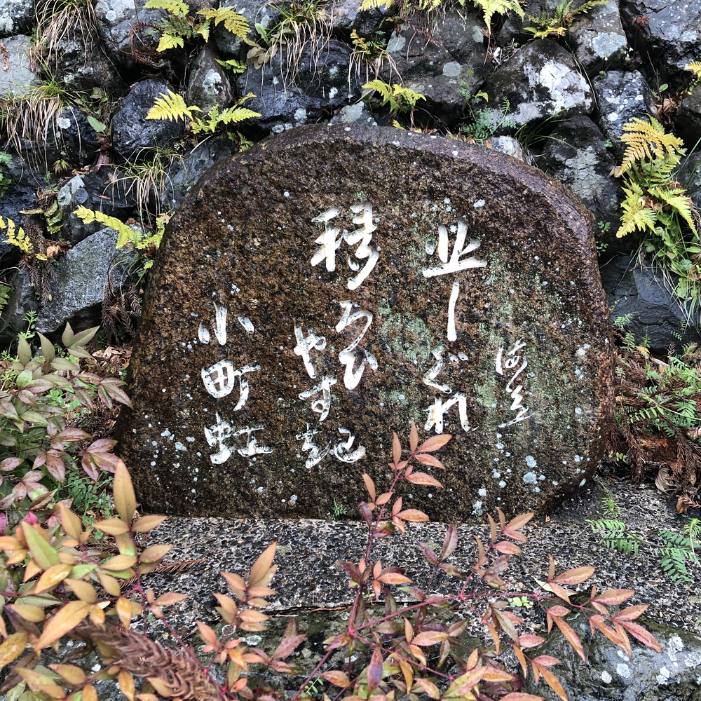 鞍馬街道を通るルートの写真6