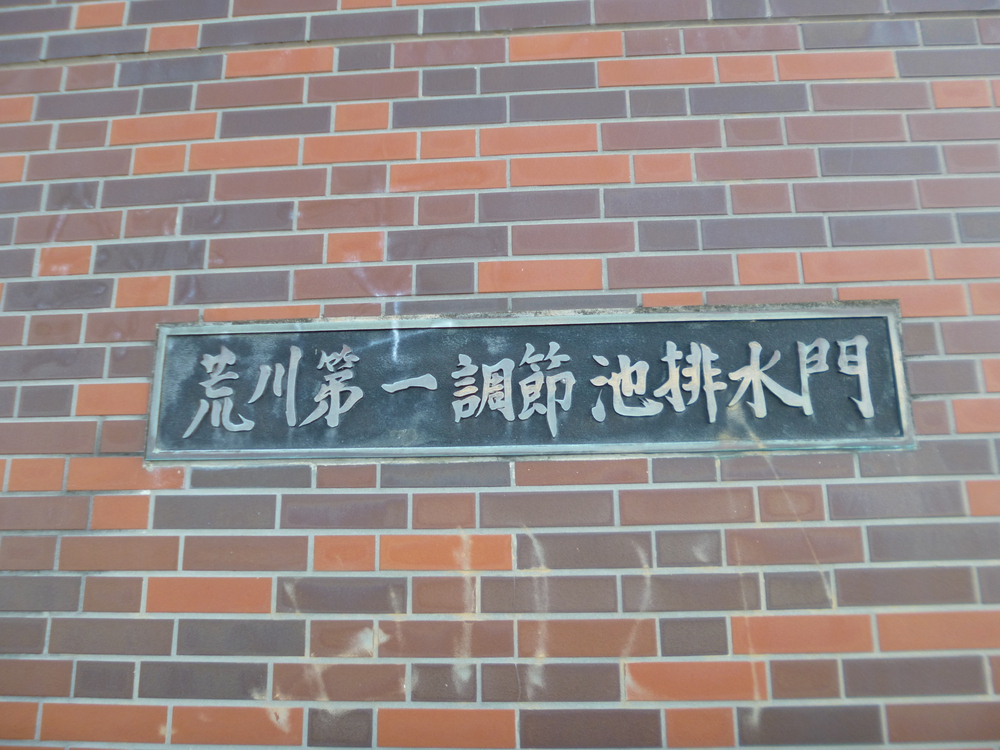 彩湖一周（堰堤上）9kmの写真5