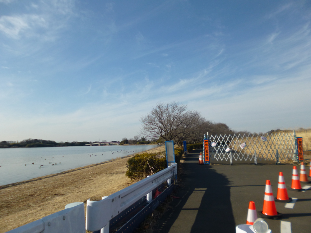 彩湖一周（堰堤上）9kmの写真9