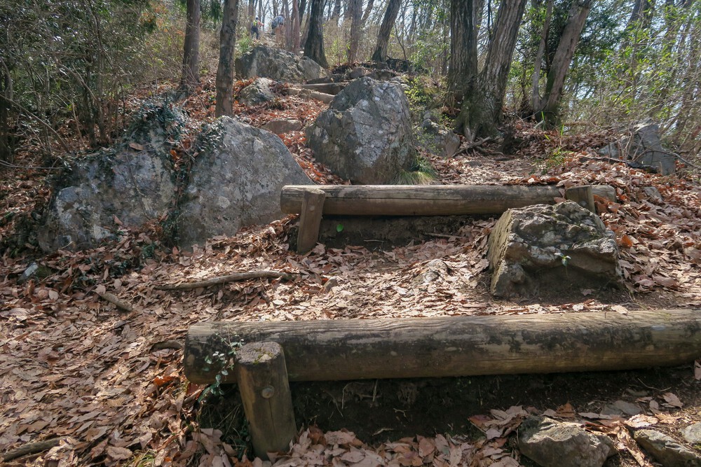 万葉自然公園かたくりの里と三毳山（みかもやま）ランの写真3