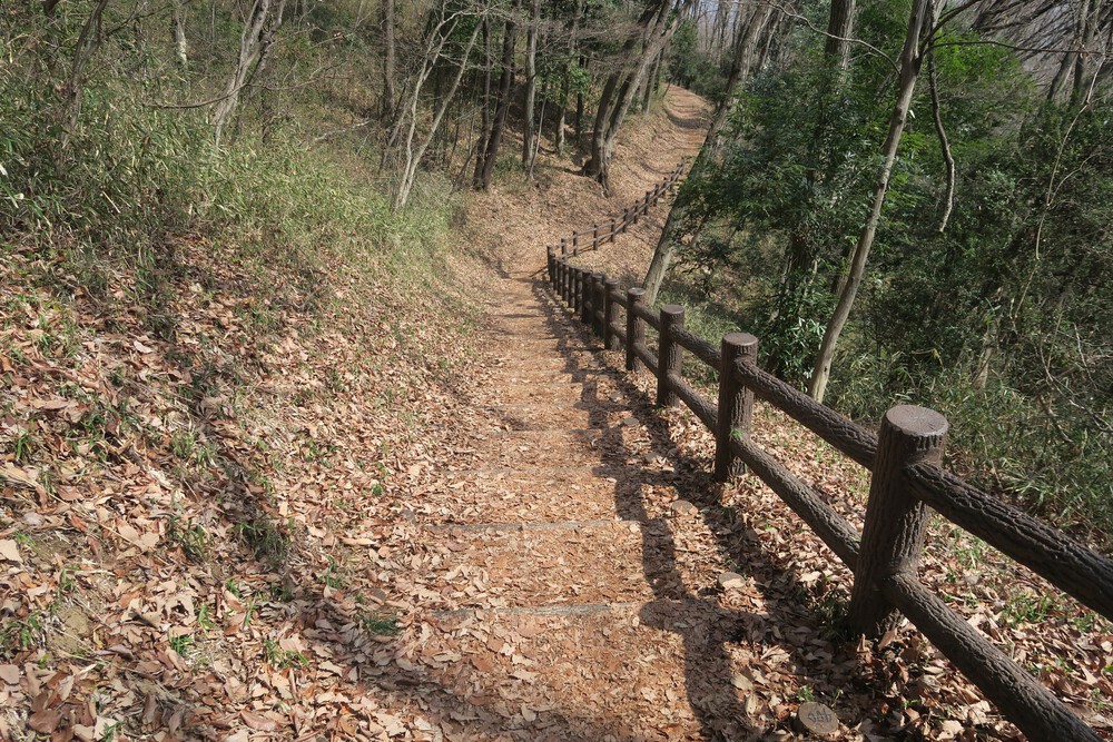 万葉自然公園かたくりの里と三毳山（みかもやま）ランの写真5