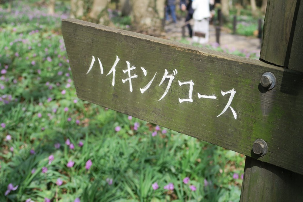 万葉自然公園かたくりの里と三毳山（みかもやま）ランの写真6