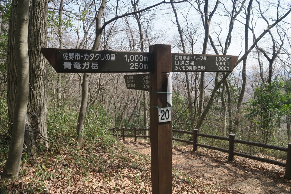 万葉自然公園かたくりの里と三毳山（みかもやま）ランの写真7