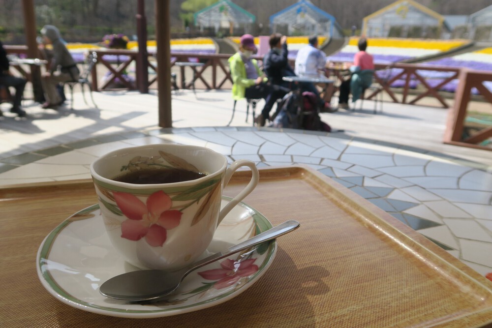 万葉自然公園かたくりの里と三毳山（みかもやま）ランの写真9