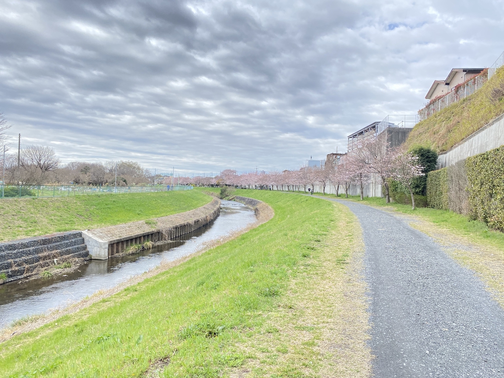 黒目川河川ラン17キロ。朝霞台駅から小平駅までの写真3