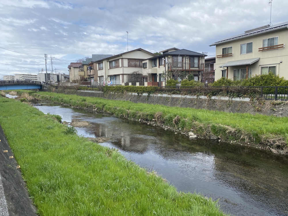 黒目川河川ラン17キロ。朝霞台駅から小平駅までの写真4