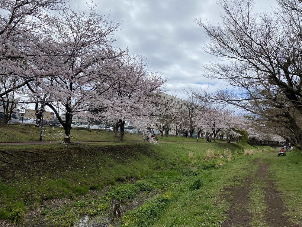 黒目川河川ラン17キロ。朝霞台駅から小平駅までの写真6