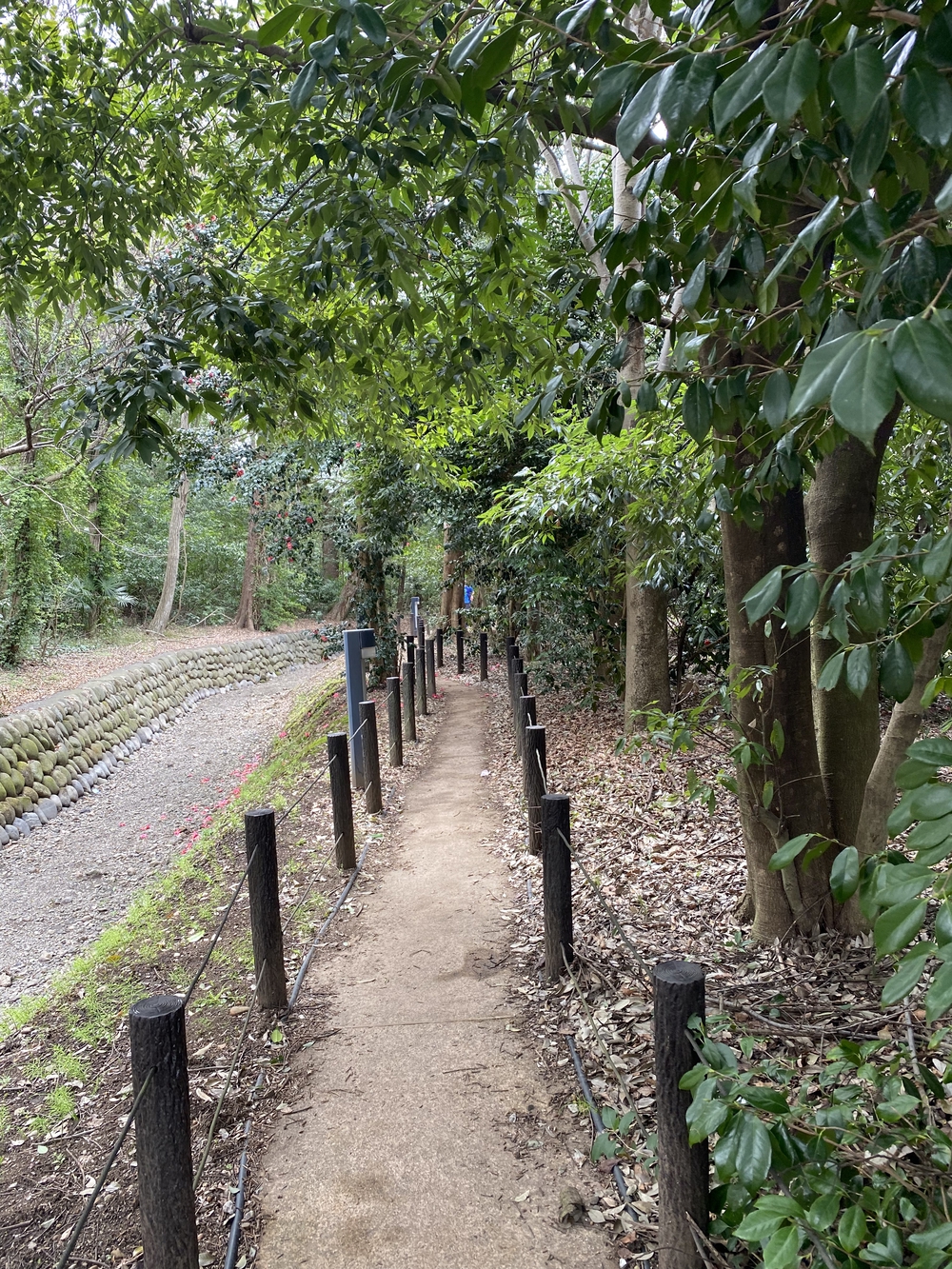 黒目川河川ラン17キロ。朝霞台駅から小平駅までの写真7
