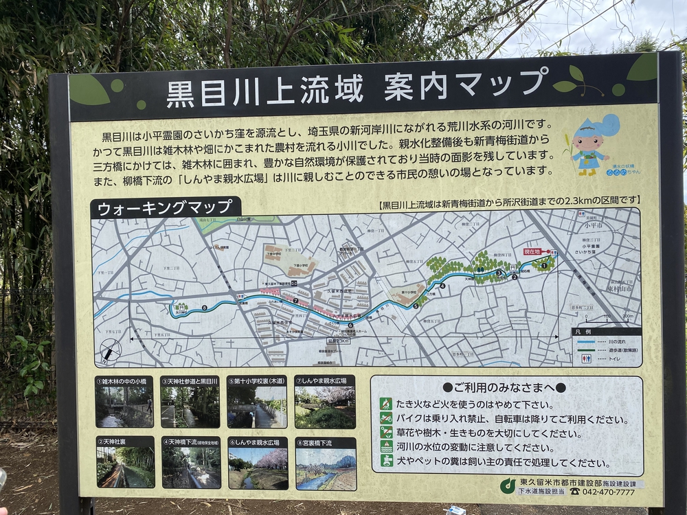 黒目川河川ラン17キロ。朝霞台駅から小平駅までの写真8