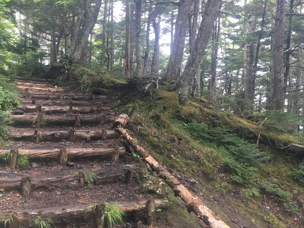 【当たり前だけど上りっぱなし】富士登山競争コースの写真4