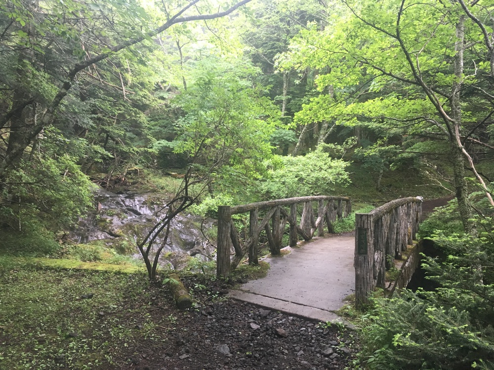 【当たり前だけど上りっぱなし】富士登山競争コースの写真8
