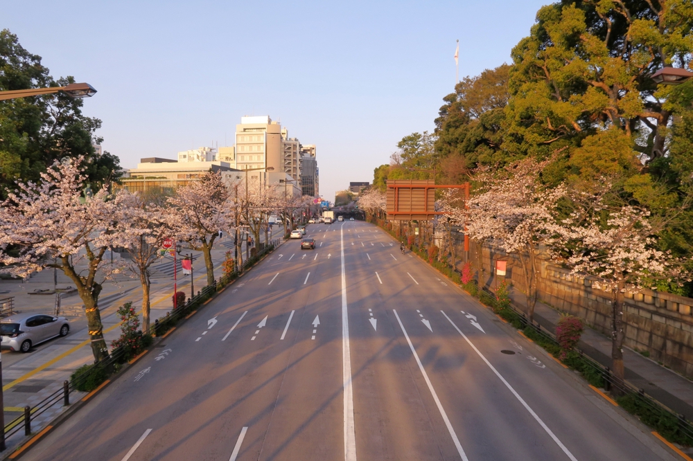 都内お花見はしごラン（上野、千鳥ヶ淵、代々木公園他）の写真3