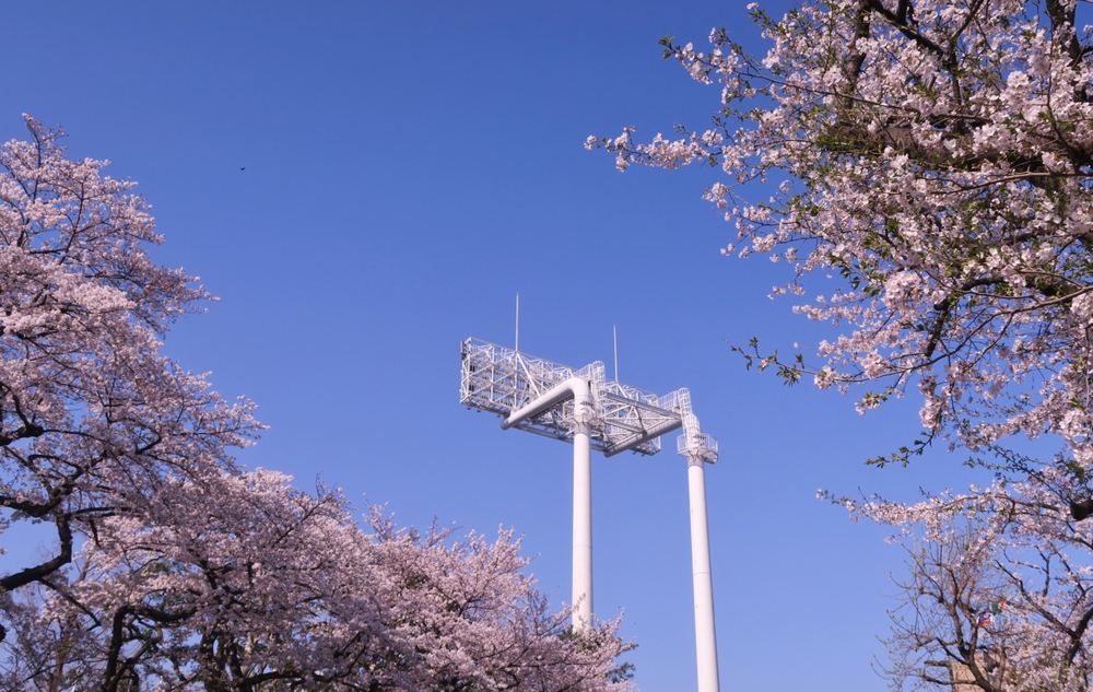 都内お花見はしごラン（上野、千鳥ヶ淵、代々木公園他）の写真7