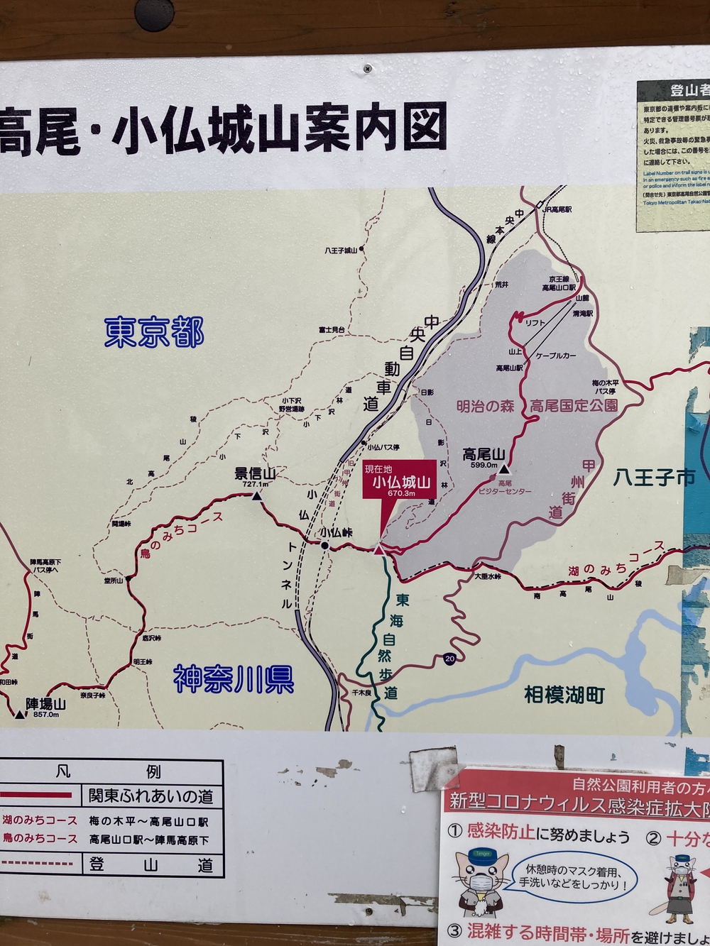 ご褒美トレイル　高尾山〜陣馬山〜藤野駅の写真4