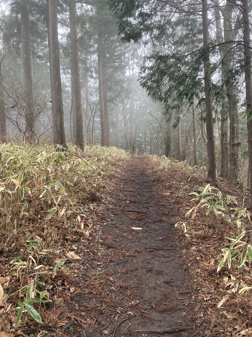 ご褒美トレイル　高尾山〜陣馬山〜藤野駅の写真6