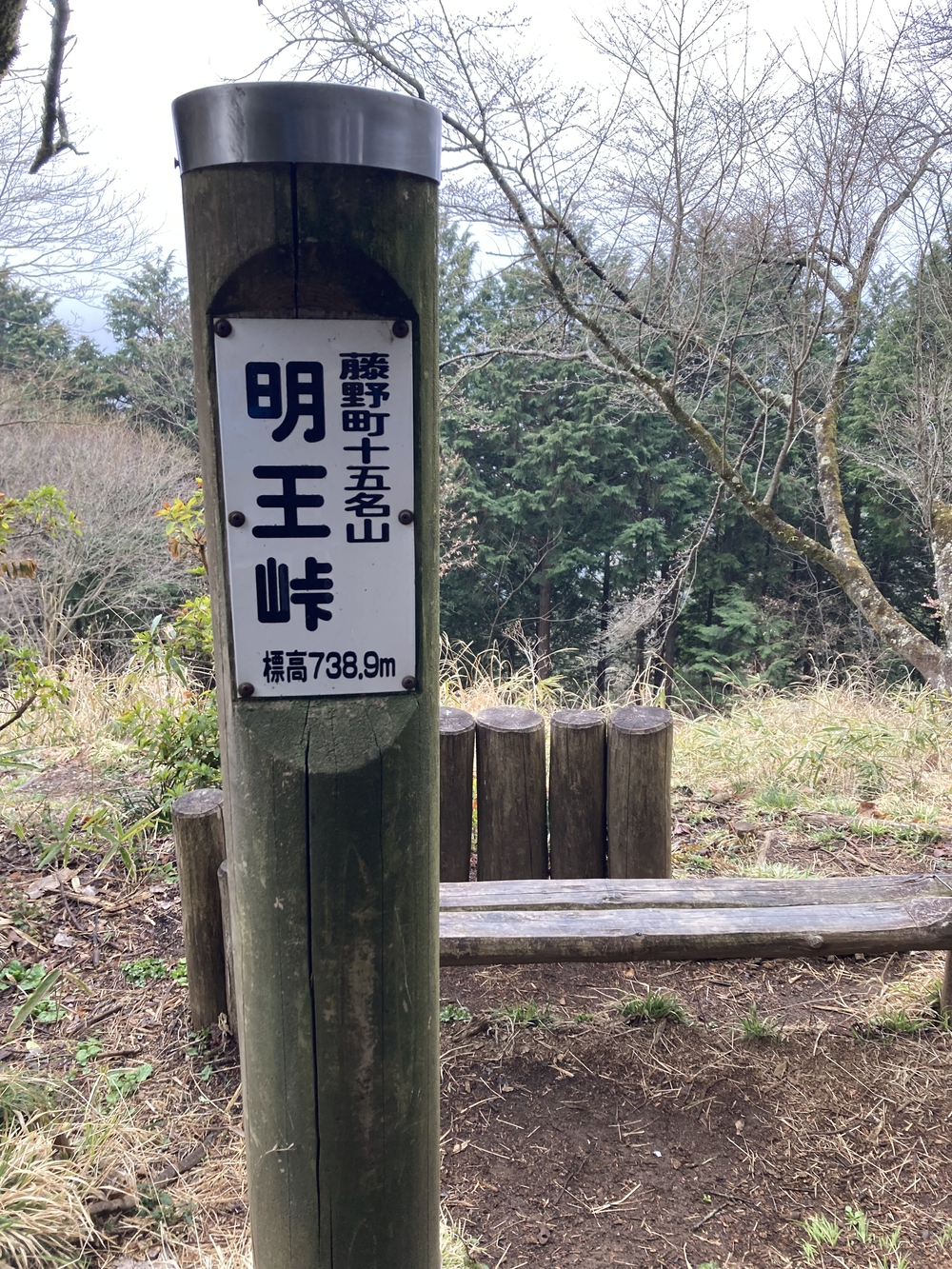 ご褒美トレイル　高尾山〜陣馬山〜藤野駅の写真7