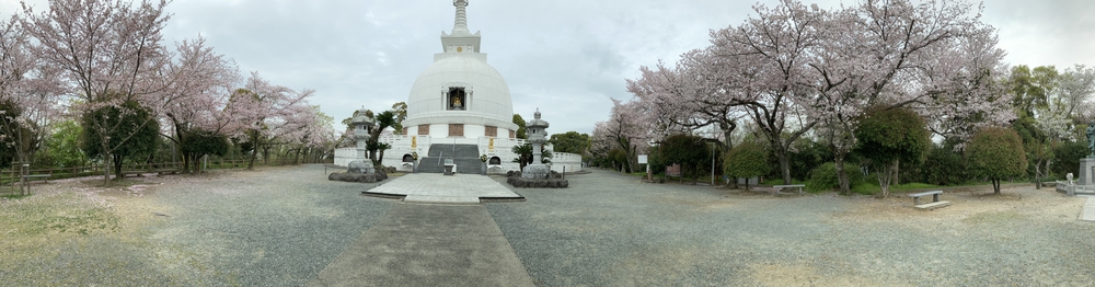 花岡山からの眺望を愉しむランの写真4
