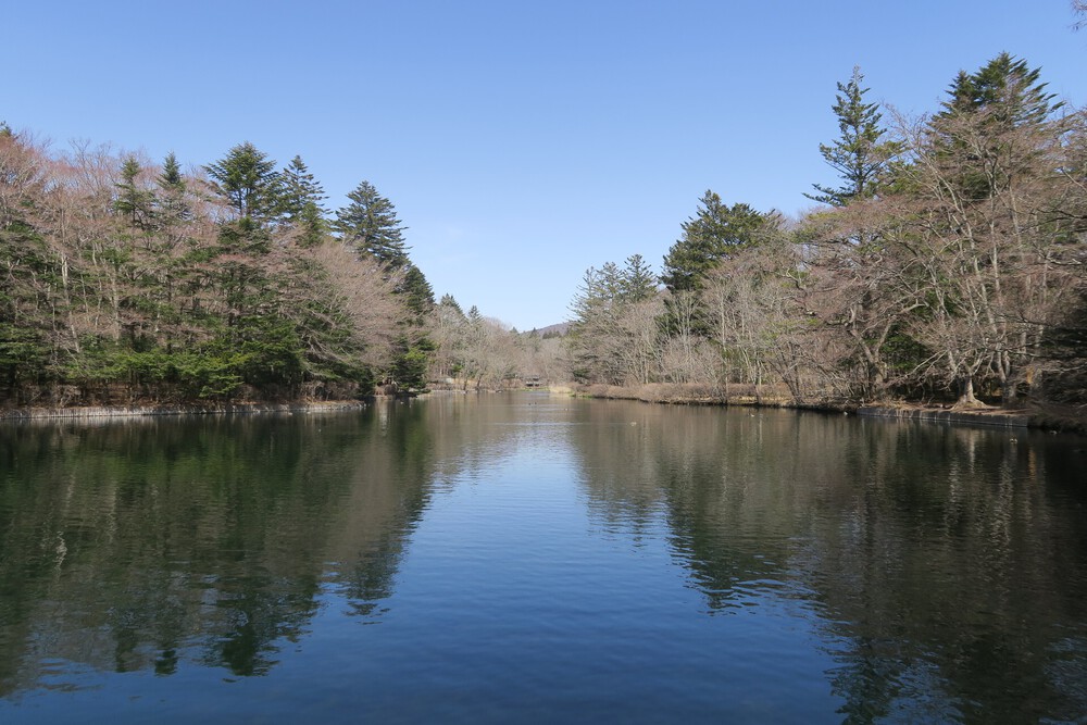 HOKA軽井沢店からの坂練とご褒美トレイルの写真4