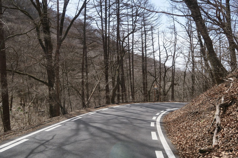 HOKA軽井沢店からの坂練とご褒美トレイルの写真5