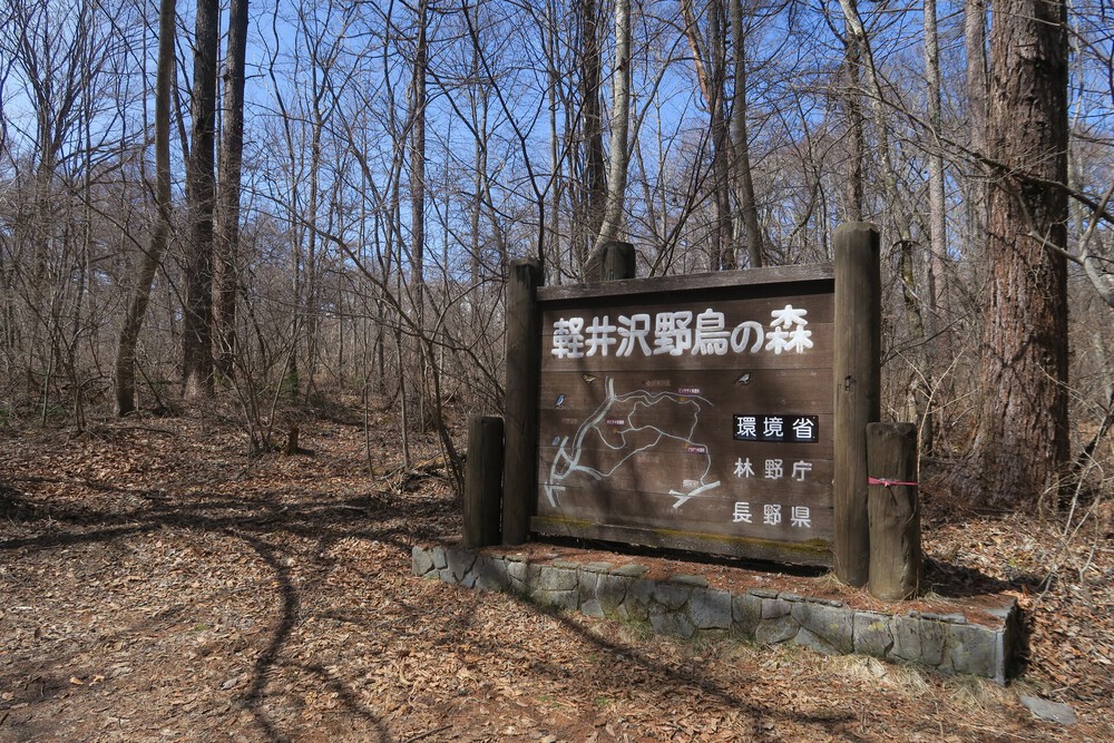 HOKA軽井沢店からの坂練とご褒美トレイルの写真6