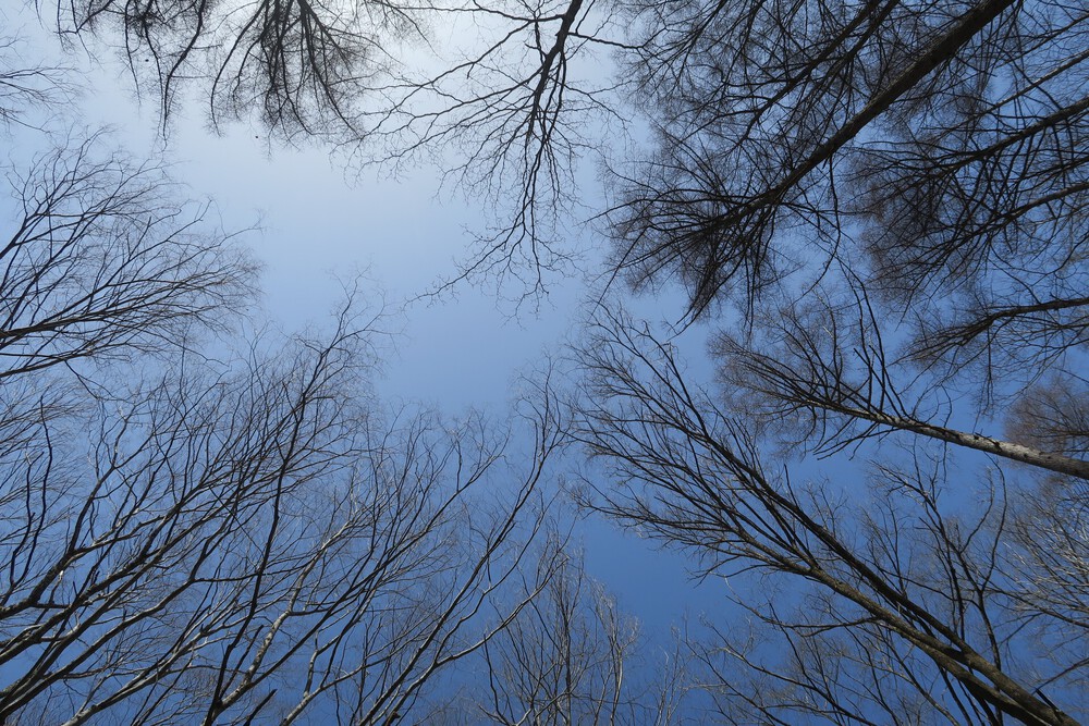 HOKA軽井沢店からの坂練とご褒美トレイルの写真8