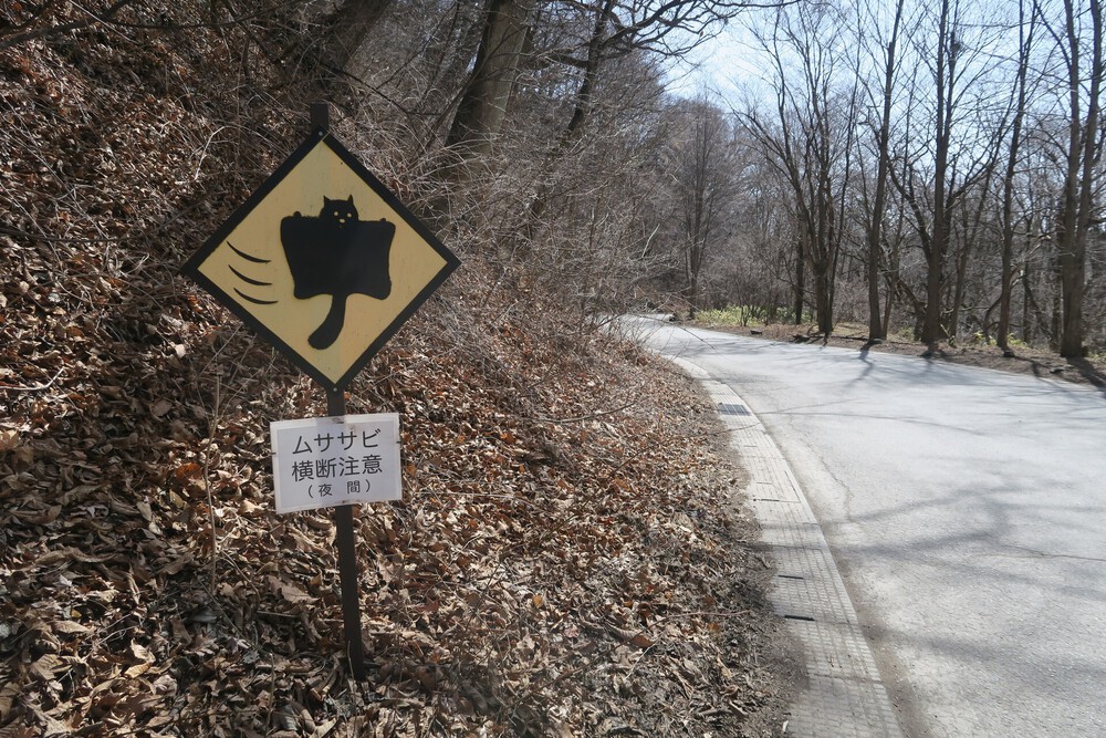 HOKA軽井沢店からの坂練とご褒美トレイルの写真9