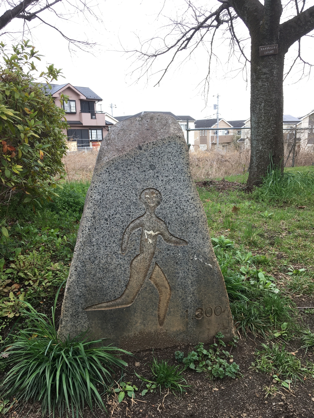 尾根緑道（戦車道）の写真7