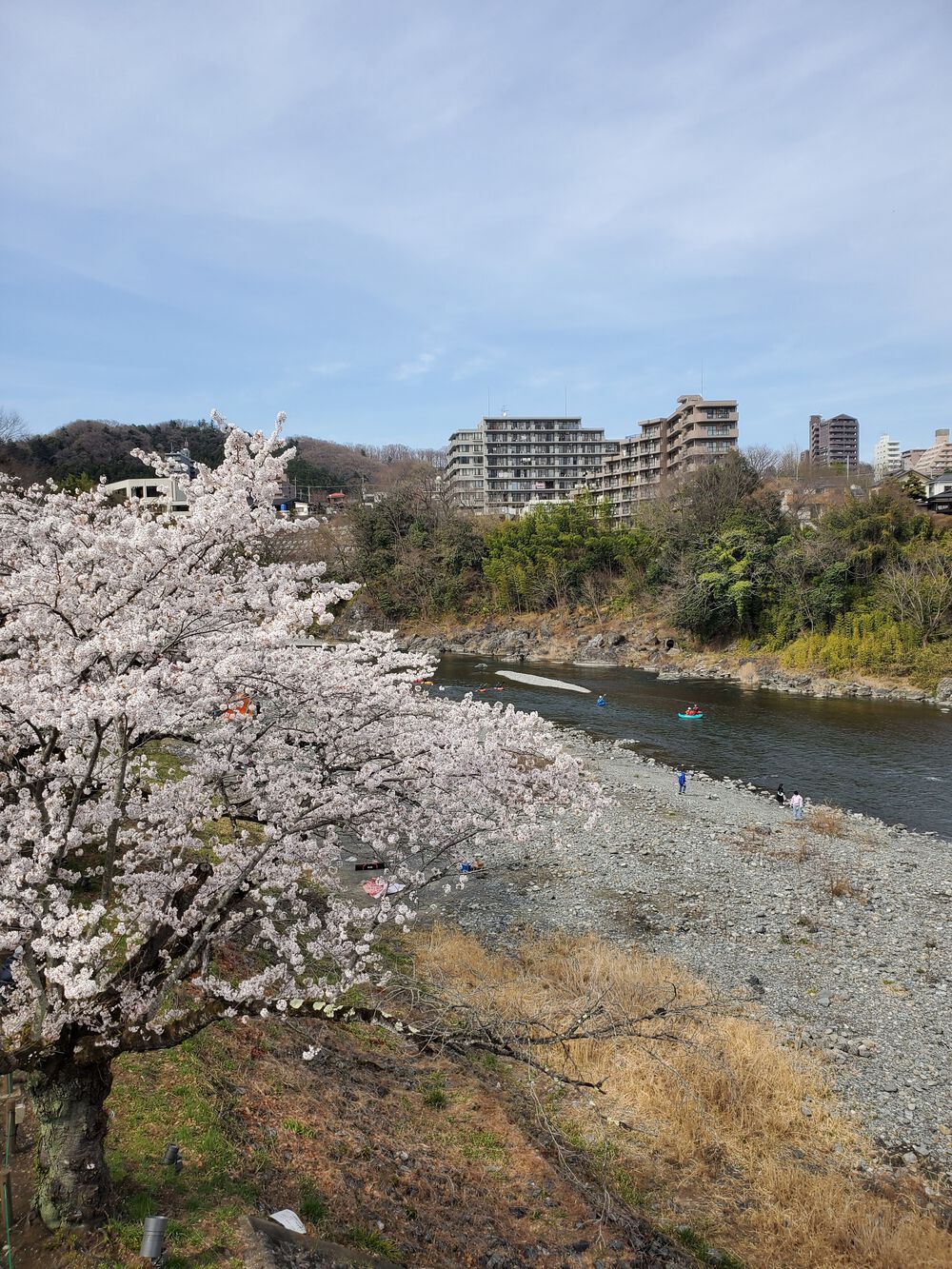 多摩川渓流RUN🏃🏃‍♀️💨の写真6