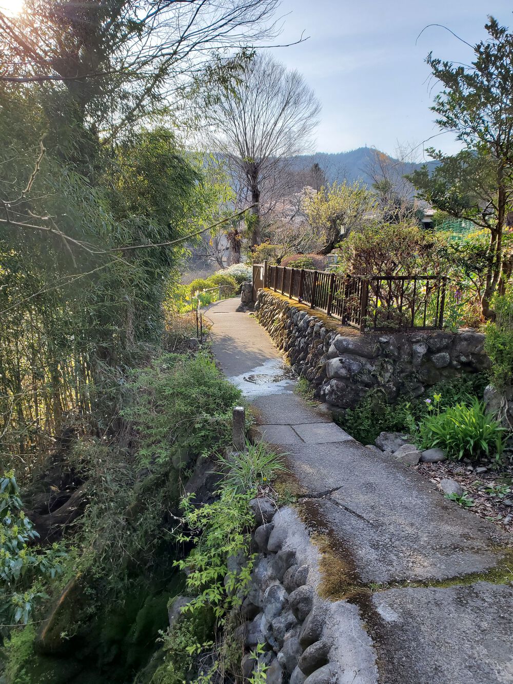 多摩川渓流RUN🏃🏃‍♀️💨の写真10