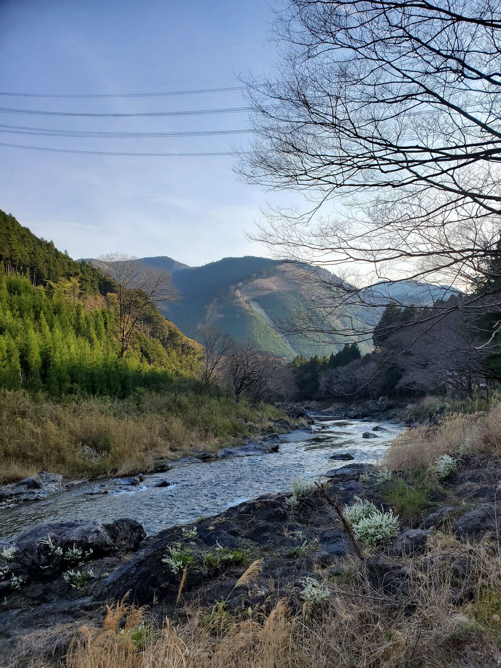 多摩川渓流RUN🏃🏃‍♀️💨の写真11