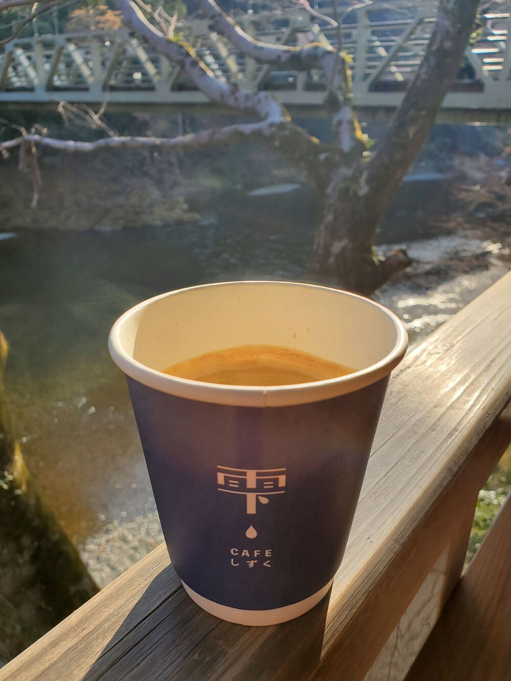 多摩川渓流RUN🏃🏃‍♀️💨の写真15