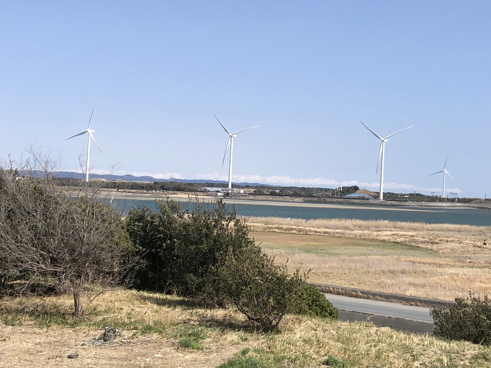 日本3大砂丘「中田島砂丘」防潮堤 RUNの写真3