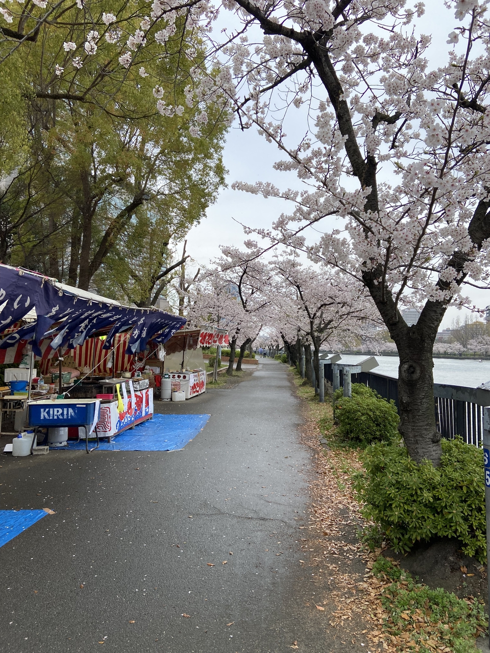 大阪城から淀川をの写真3