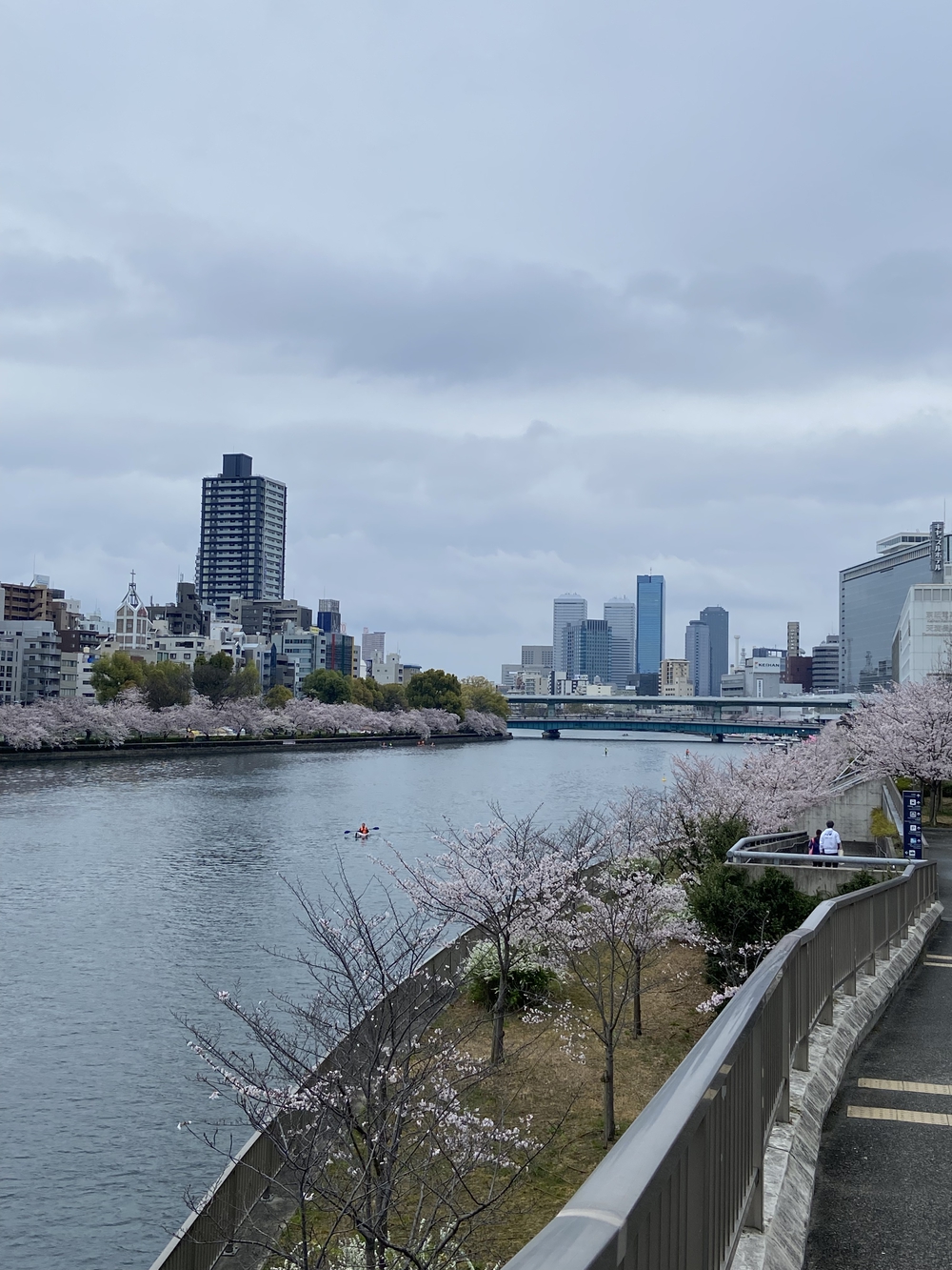 大阪城から淀川をの写真5