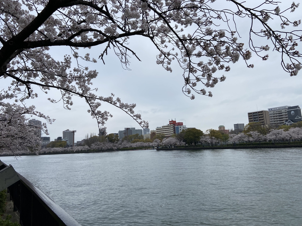 大阪城から淀川をの写真6