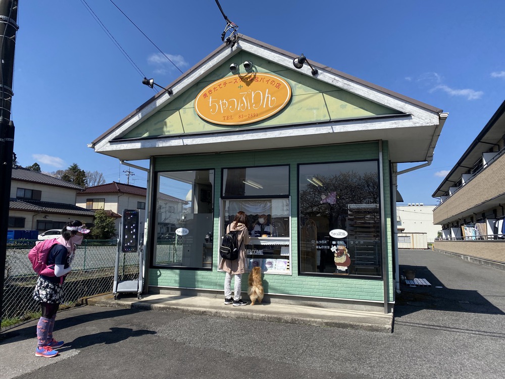 桜と菜の花とSLと。ゴールは温泉♨の写真5
