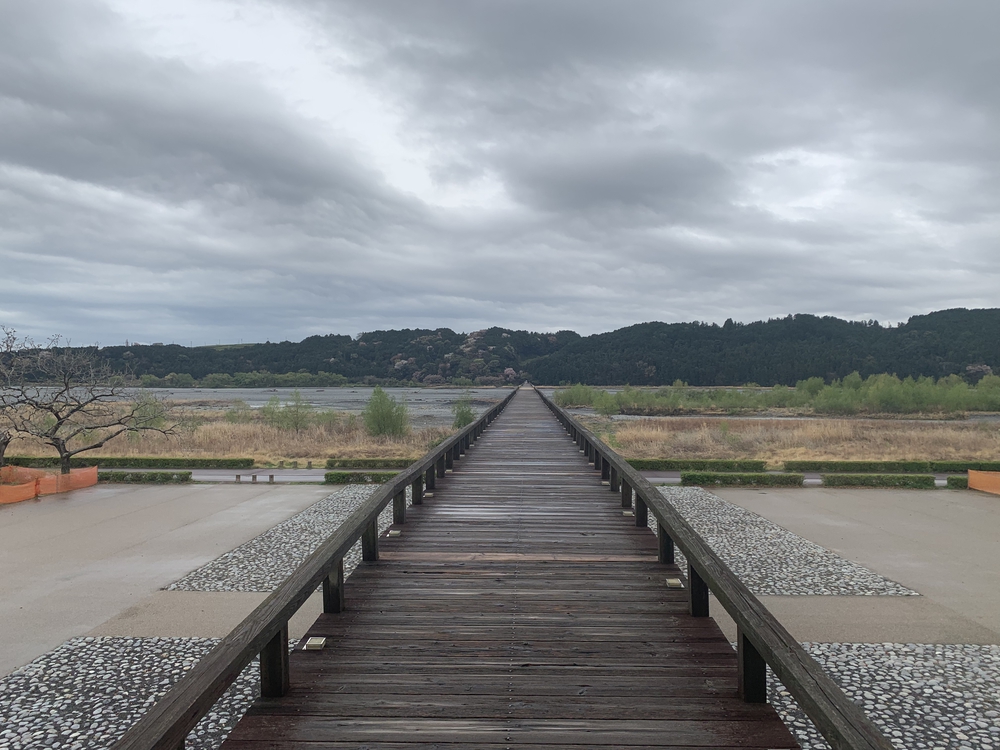 蓬莱橋（ほうらいばし）から茶畑をぬけて旧東海道の石畳でハーフの写真4