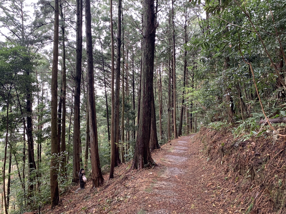 蓬莱橋（ほうらいばし）から茶畑をぬけて旧東海道の石畳でハーフの写真5