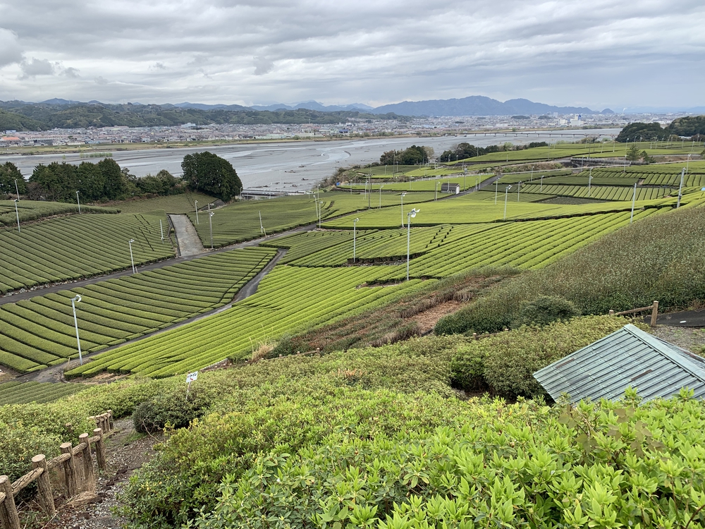 蓬莱橋（ほうらいばし）から茶畑をぬけて旧東海道の石畳でハーフの写真6