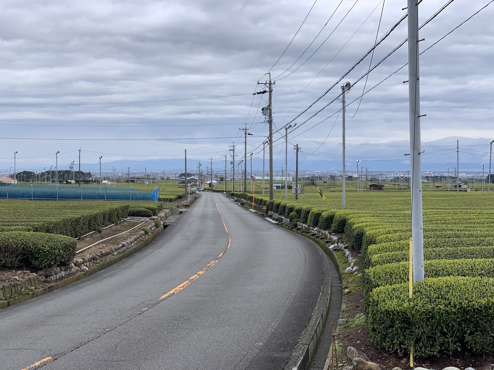 蓬莱橋（ほうらいばし）から茶畑をぬけて旧東海道の石畳でハーフの写真7